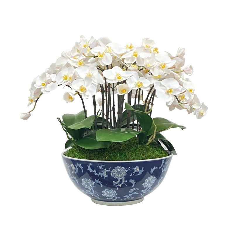 Vanda And Rose In Glass