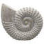 Coquille tissée côtière pour la décoration intérieure - objet de sculpture figurine décorative pour décoration de table - décorations pour salon et tablette - 12 po, blanc-1544932771
