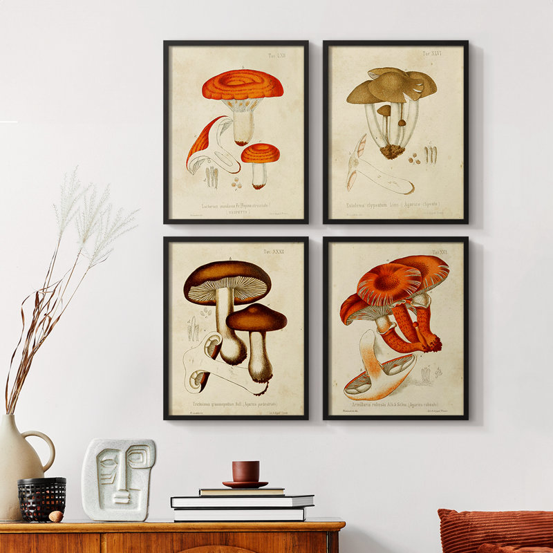 «Mushroom Variétés I», 4 pièces sur papier, Cadre noir, H 14 po x l 44 po