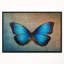 Floral Blue Vintage Butterfly Canvas Graphic Art - Vintage Butterfly-26663324-35120284