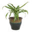 Jardinière extérieure Berlina-1293001908-1292973038