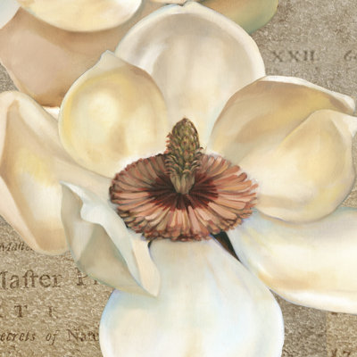 Magnolia Masterpiece I - Wrapped Canvas Painting