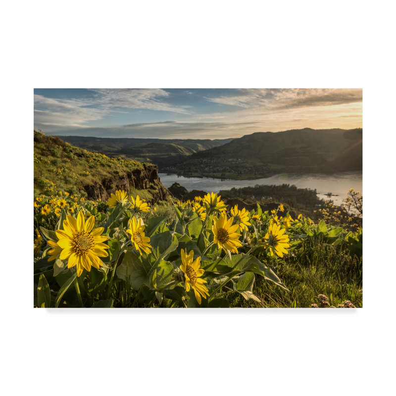 «Soake up the Sun» par Danny Head - reproduction de photo sur toile, H 16 po x l 24 po x P 2 po