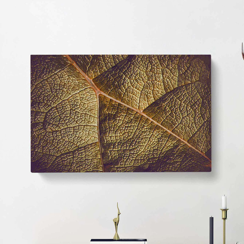 Paths Of The Leaf - Wrapped Canvas, 60cm H x 91cm W x 3cm D