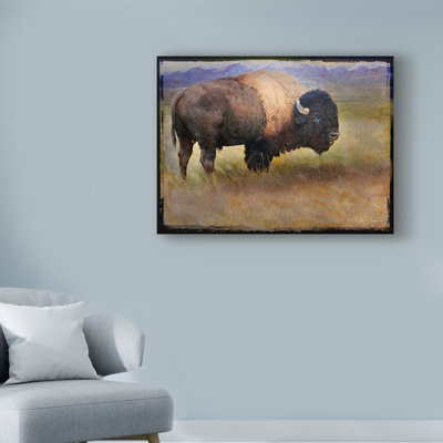 " Bison Portrait Mountains " by Chris Vest