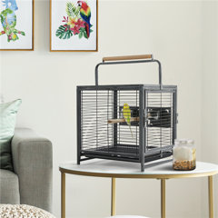 Bird Cage Buying Guide: How to Choose the Best Option