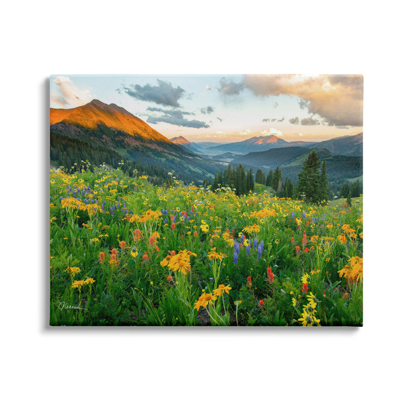 «Open Wildflower Fields Cloudy Sunrise Mountain Landscape» par J.C. Leacock - photographie, H 30 po x l 40 po, Toile tendue