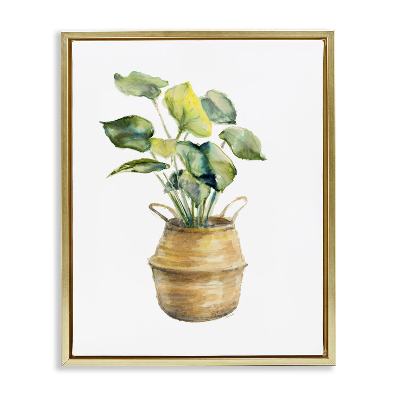 "Plant in Pottery", art mural sur toile flottante par Lanie Loreth, Cadre flottant métallique doré, H 21 po x l 17 po