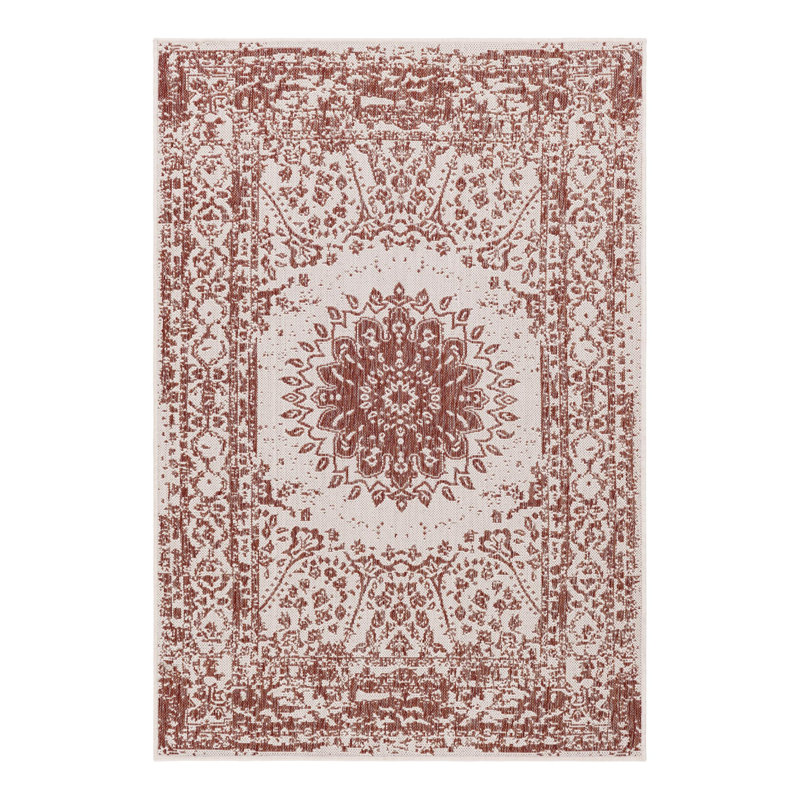 Ornate Lamotte Indoor/Outdoor Area Rug, Rectangle 4'1" x 6'1"