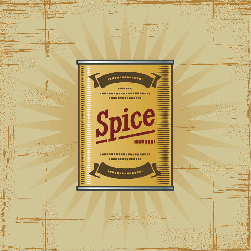 Retro Spice Can by Iatsun - Wrapped Canvas Print, 30cm H x 30cm W x 3.8cm D