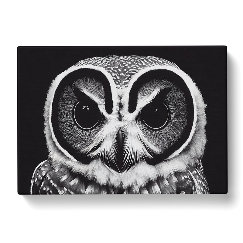 Timeless Owl - Wrapped Canvas, 35cm H x 50cm W x 3cm D