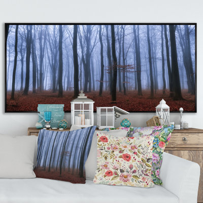 " Foggy Day Autumn Forest "