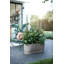 Planter Box-72816950-72816951