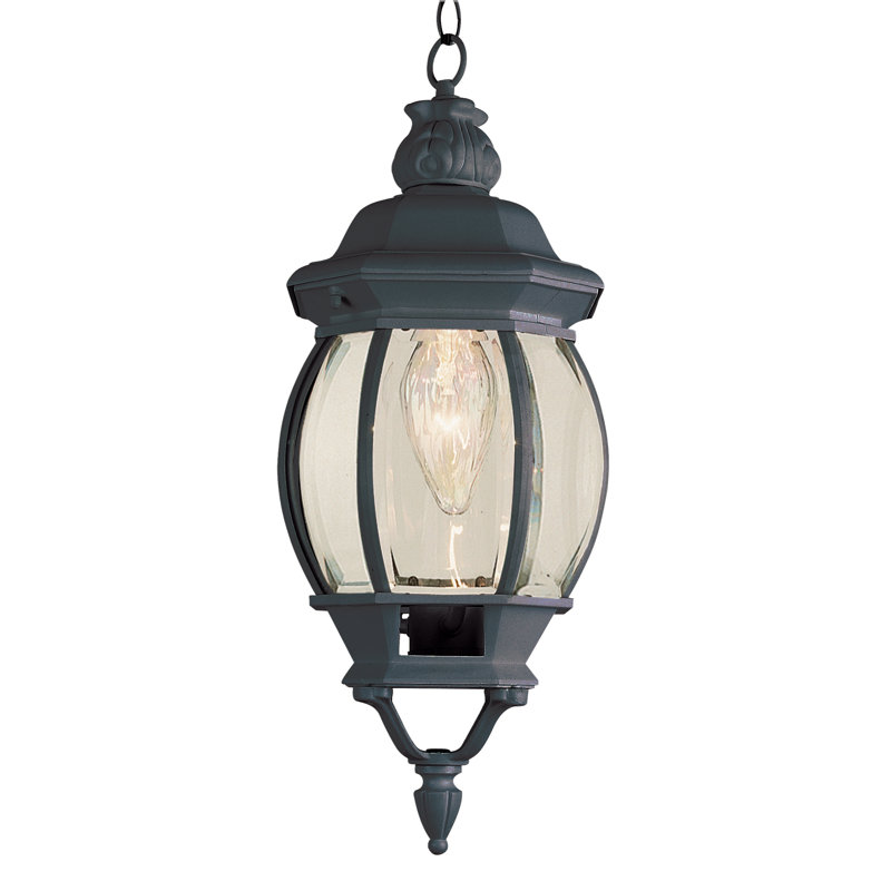 Lanterne suspendue d'extérieur 1 lumière Siclen, Noir
