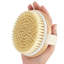 Ensemble de 2 brosses pour le corps Cheer-124942512
