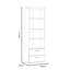 Demps 189.1cm H x 60.2cm W Standard Bookcase