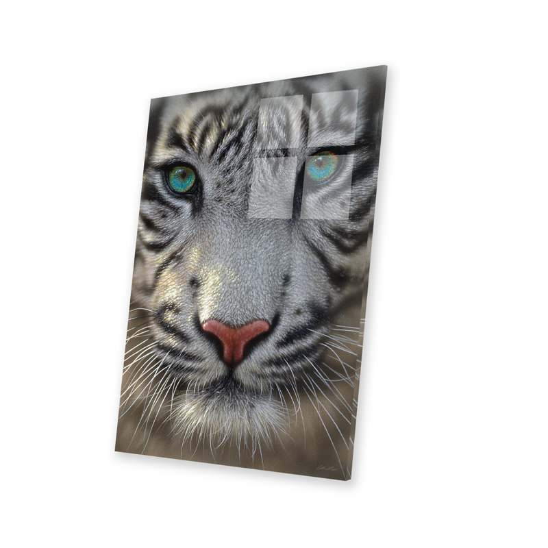 " White Tiger " by Collin Bogle