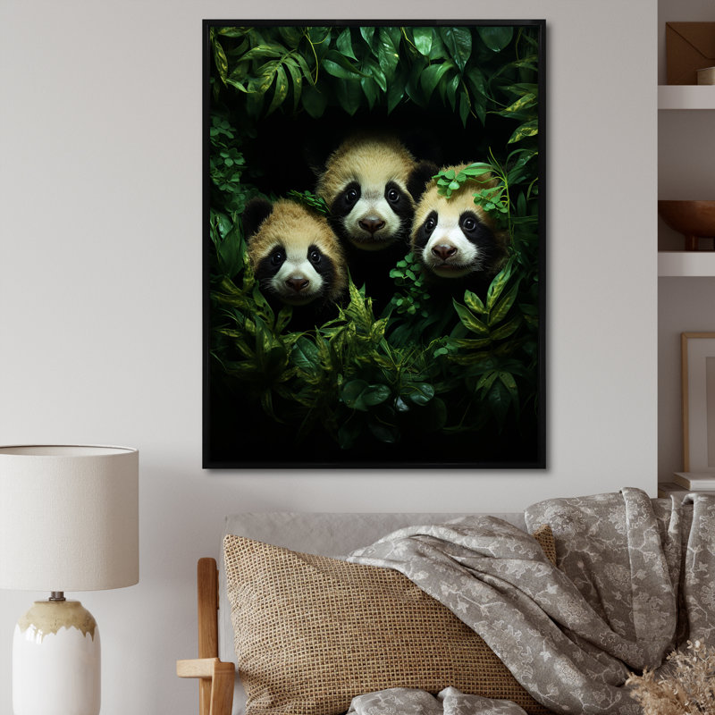 Pandas Play 4 - Panda Animal, art mural, Cadre flottant noir, H 40 po x l 30 po x P 1,5 po