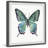Aldwell " Watercolor Butterfly " Watercolor Print-562668334