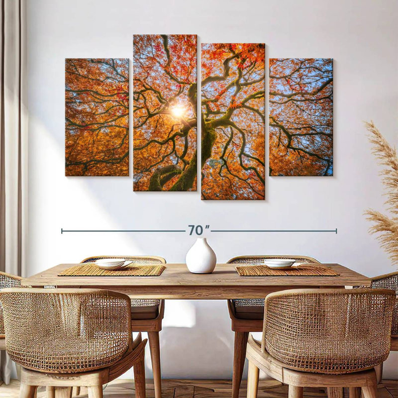 Japanese Maple Tree, 42" H x 68" W