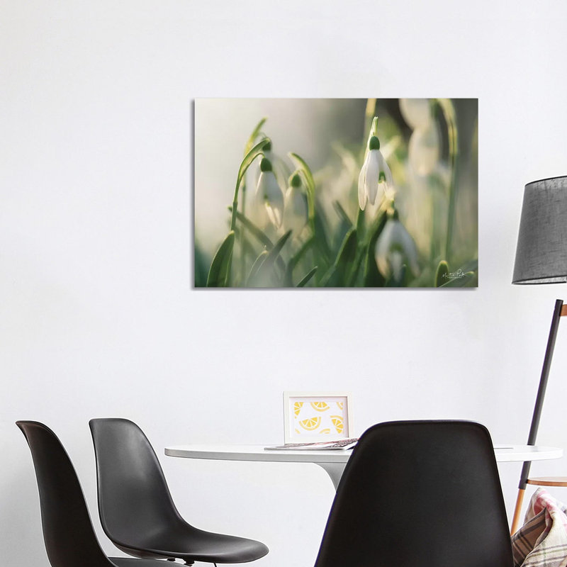 Snowdrops by Martin Podt - Wrapped Canvas Gallery-Wrapped Canvas Giclée, 101.6 cm H x 66.04 cm W