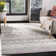 Reith 700 Performance Southwestern Rug