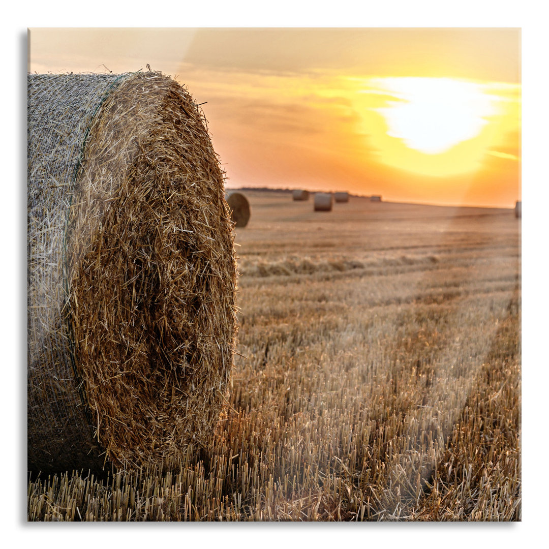 Glasbild Strohballen auf Feld