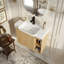 Meuble-lavabo mural multifonctionnel avec porte à fermeture en douceur et tablettes ouvertes-1284596228-1284596254