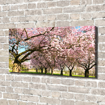 Cherry Trees - Wrapped Canvas Print