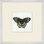 Miniature Butterfly Collection 14 Print
