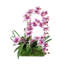 Orchid Arrangement in Pot