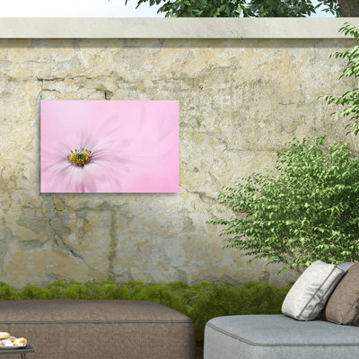 Plants & Flowers Wall Decor