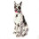 Animals Statue