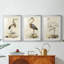 Antique Heron I - reproduction sur mesure encadrée de qualité supérieure - 3 pièces-339623385-339623388