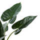 28'' Faux Anthurium Plant in Pot