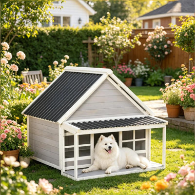 Abris pour chien spacieux et spacieux