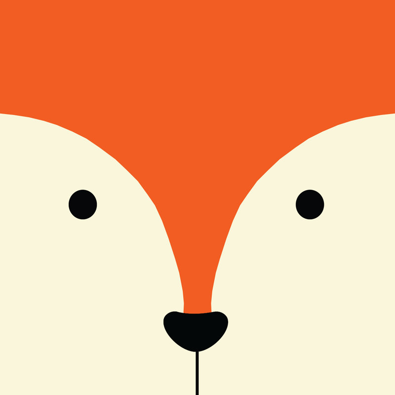 Fox Face - Wrapped Canvas Print, 30cm H x 30cm W x 3.8cm D