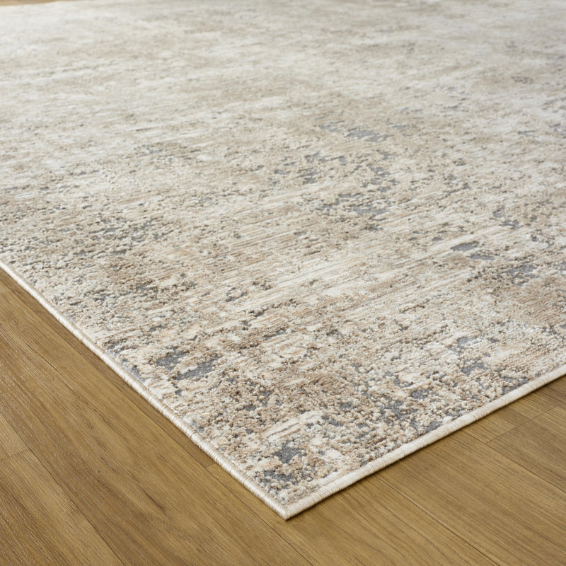 Hemingford Area Rug in Gray, Beige/Gray, Rectangle 7'9" x 10'