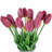 Tulip Arrangement