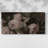 Botanical Series-CDXXX- Gallery Wrapped Canvas -Ready to Hang-1999576092