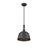Hempstead 1-Light Dimmable Dome Pendant-1953057661