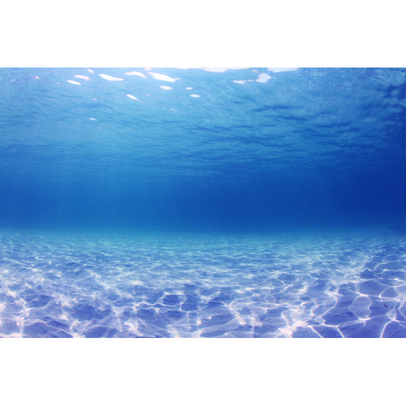 Underwater Sea by Richcarey - Wrapped Canvas Print, 30cm H x 46cm W x 3.8cm D