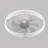 Justino 20“ 6-Speed LED Dimmable Reversible Modern Caged Ceiling Fan With Light And Remote Control