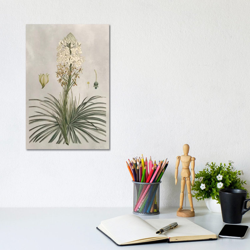 Tropical Varieties III by Pancrace Bessa - Wrapped Canvas Print, 20.32 cm H x 30.48 cm W