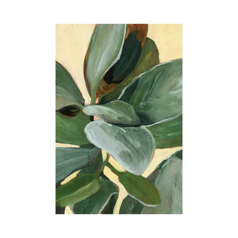 Plant Study I by Annie Warren - Wrapped Canvas Painting, 20.32 cm H x 30.48 cm W