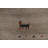 Little Animals Gabbeh Oriental Area Rug