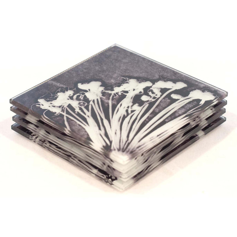Guynn Glass Square 1 Piece Coaster