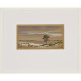 White Sand and Lone Tree Framed Print