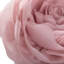 Housse de coussin décoratif décoratif à motif floral rose Simulation-1371545841-1460310674