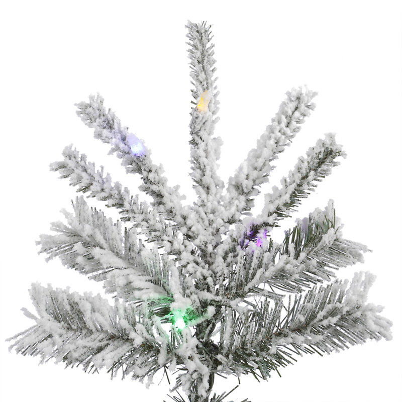 Vickerman Flocked Sierra Fir Artificial Christmas 10' H Lighted Artificial Fir Christmas Tree